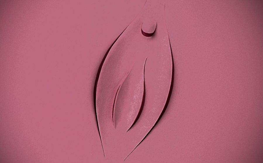 labiaplasty-media-content-3